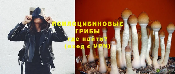 кокаин перу Белокуриха