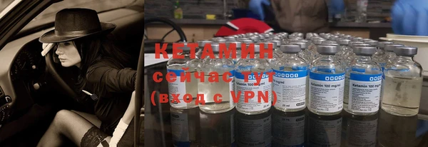шишки Сосновый Бор