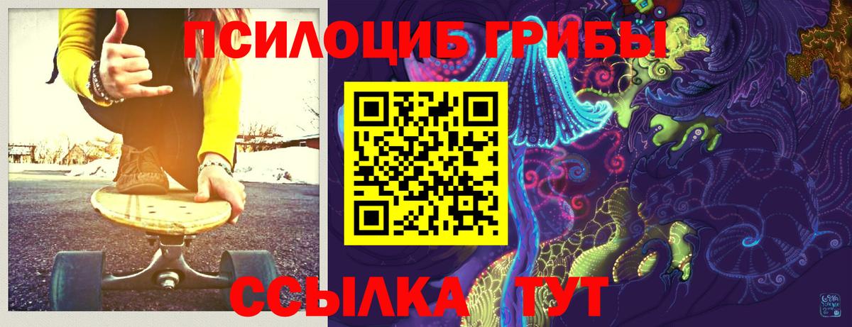 Псилоцибиновые грибы мицелий  Вход с VPN  Псилоцибиновые грибы Psilocybine cubensis  Кстово 