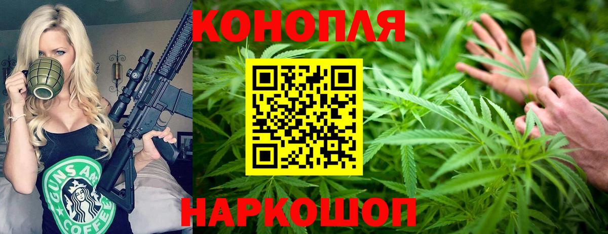Каннабис планчик Кстово